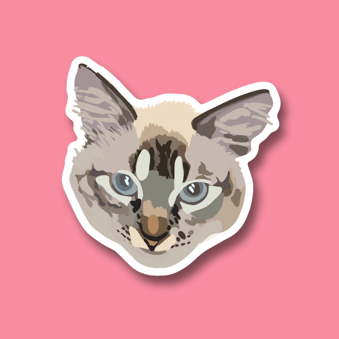 Bella Cat Sticker