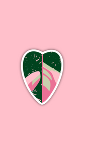 Pink Princess Philodendron Sticker