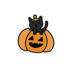 Cat In A Jack o Lantern, Halloween - Pink N Paw