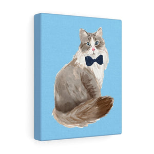 Sir Cat - Canvas Gallery Wrap - Pink N Paw